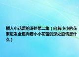 插入小花蕾的深處第二集（向著小小的花絮進發(fā)全集向著小小花蕾的深處劇情是什么）