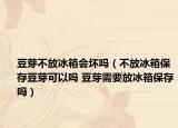 豆芽不放冰箱會(huì)壞嗎（不放冰箱保存豆芽可以嗎 豆芽需要放冰箱保存嗎）