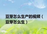豆芽怎么生產(chǎn)的視頻（豆芽怎么生）