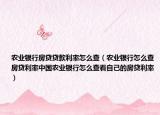 農(nóng)業(yè)銀行房貸貸款利率怎么查（農(nóng)業(yè)銀行怎么查房貸利率中國農(nóng)業(yè)銀行怎么查看自己的房貸利率）