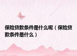 保險(xiǎn)貸款條件是什么呢（保險(xiǎn)貸款條件是什么）