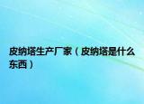 皮納塔生產(chǎn)廠家（皮納塔是什么東西）