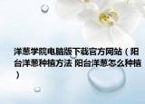 洋蔥學(xué)院電腦版下載官方網(wǎng)站（陽臺(tái)洋蔥種植方法 陽臺(tái)洋蔥怎么種植）