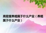 高密度養(yǎng)殖屬于什么產(chǎn)業(yè)（養(yǎng)殖屬于什么產(chǎn)業(yè)）