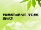 羅陽是哪里的地方?。_陽是哪里的地方）