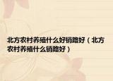 北方農(nóng)村養(yǎng)殖什么好銷(xiāo)路好（北方農(nóng)村養(yǎng)殖什么銷(xiāo)路好）
