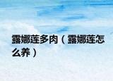 露娜蓮多肉（露娜蓮怎么養(yǎng)）