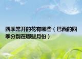 四季常開的花有哪些（巴西的四季分別在哪些月份）