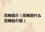 花棒簡介（花棒是什么 花棒的介紹）