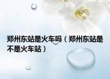 鄭州東站是火車嗎（鄭州東站是不是火車站）