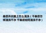 桑葚弄衣服上怎么清洗（干桑葚怎樣清洗干凈 干桑葚如何清洗干凈）