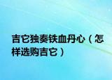 吉它獨(dú)奏鐵血丹心（怎樣選購吉它）