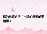 雞的養(yǎng)殖方法（土雞的養(yǎng)殖前景如何）