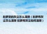 肚臍里的灰塵怎么清理（肚臍有灰塵怎么清理 肚臍有灰塵如何清理）