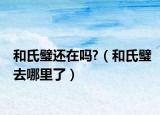和氏璧還在嗎?（和氏璧去哪里了）