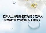 竹蓀人工栽培是誰發(fā)明的（竹蓀人工種植方法 竹蓀如何人工種植）