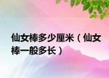 仙女棒多少厘米（仙女棒一般多長）