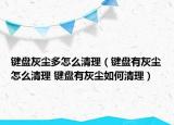 鍵盤灰塵多怎么清理（鍵盤有灰塵怎么清理 鍵盤有灰塵如何清理）
