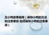 丑小鴨故事視頻（保存小鴨的方法和注意事項 如何保存小鴨和注意事項）