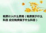 稅費計入什么費用（稅費屬于什么科目 應交稅費屬于什么科目）