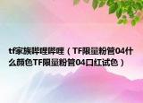 tf家族嗶哩嗶哩（TF限量粉管04什么顏色TF限量粉管04口紅試色）