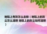 地毯上有灰怎么去除（地毯上的灰塵怎么清理 地毯上的灰塵如何清理）