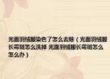 光面羽絨服染色了怎么去除（光面羽絨服長霉斑怎么洗掉 光面羽絨服長霉斑怎么怎么辦）