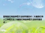 盆栽西紅柿的種植方法和管理技術(shù)（大棚西紅柿人工種植方法 大棚西紅柿的種植方法和管理技術(shù)）