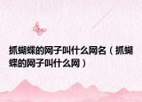 抓蝴蝶的網子叫什么網名（抓蝴蝶的網子叫什么網）