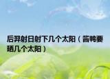 后羿射日射下幾個(gè)太陽（醬鴨要曬幾個(gè)太陽）