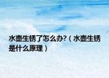 水壺生銹了怎么辦?（水壺生銹是什么原理）