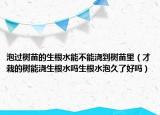 泡過樹苗的生根水能不能澆到樹苗里（才栽的樹能澆生根水嗎生根水泡久了好嗎）