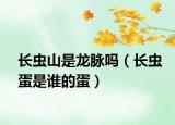 長(zhǎng)蟲(chóng)山是龍脈嗎（長(zhǎng)蟲(chóng)蛋是誰(shuí)的蛋）