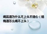 喝醬酒為什么不上頭不燒心（楊梅酒怎么喝不上頭）