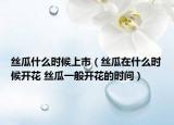 絲瓜什么時(shí)候上市（絲瓜在什么時(shí)候開花 絲瓜一般開花的時(shí)間）