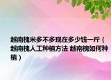 越南槐米多不多現(xiàn)在多少錢一斤（越南槐人工種植方法 越南槐如何種植）