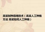 高粱制種栽培技術(shù)（高粱人工種植方法 高粱如何人工種植）
