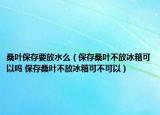 桑葉保存要放水么（保存桑葉不放冰箱可以嗎 保存桑葉不放冰箱可不可以）