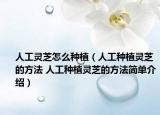 人工靈芝怎么種植（人工種植靈芝的方法 人工種植靈芝的方法簡單介紹）