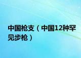 中國槍支（中國12種罕見步槍）