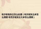 布沙發(fā)有灰塵怎么處理（布沙發(fā)灰塵多怎么清理 布藝沙發(fā)灰塵太多怎么清理）
