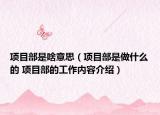 項目部是啥意思（項目部是做什么的 項目部的工作內(nèi)容介紹）