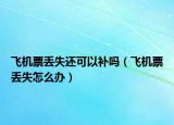 飛機票丟失還可以補嗎（飛機票丟失怎么辦）
