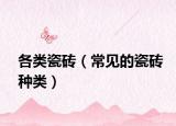 各類瓷磚（常見的瓷磚種類）