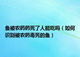 魚被農(nóng)藥藥死了人能吃嗎（如何識(shí)別被農(nóng)藥毒死的魚）