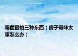 霉菌最怕三種東西（房子霉味太重怎么辦）