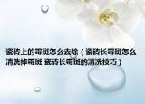 瓷磚上的霉斑怎么去除（瓷磚長霉斑怎么清洗掉霉斑 瓷磚長霉斑的清洗技巧）