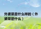 外婆菜是什么樣的（外婆菜是什么）