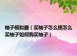 柚子模擬器（買柚子怎么挑怎么買柚子如何購買柚子）
