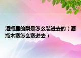 酒瓶里的梨是怎么裝進去的（酒瓶木塞怎么塞進去）